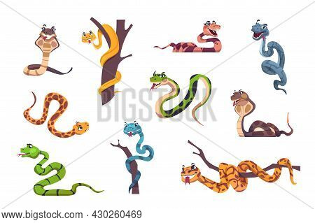 Snakes Character. Cute Animal Mascot With Funny Face Emotions For Kids Illustration. Wild Reptile Of