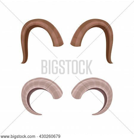 Antlers Set. Hunting Trophy Of Antelope, Ram, Gazelle, Goat Animals Vector Illustration