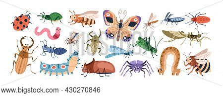Cute Cartoon Insect Characters Set. Funny Happy Small Bugs, Butterflies, Caterpillars, Grasshoppers,