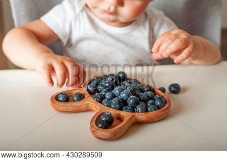 Blonde Toddler Boy Eating Yummy Blueberries On Highchair Close-up And Copy Space.