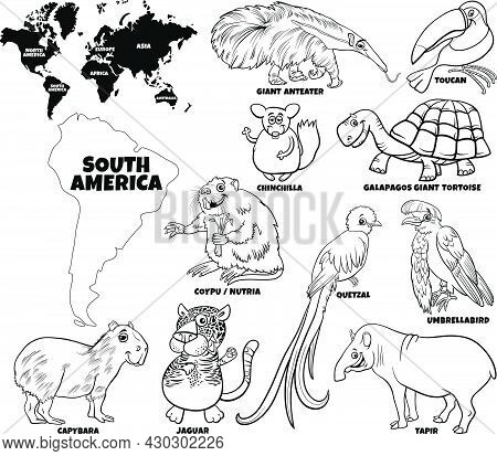 Black And White Educational Cartoon Illustration Of South American Animal Characters Set And World M