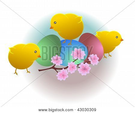 Three chicken