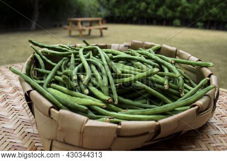 Green Long Beans Also Known As Fresh Lobia Ki Phalli Or Chawli Heap In Wicker Basket. Top View Of Th