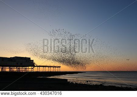 A Heart Shaped Murmuration Of Starlings Above The Silhouette Of Aberystwyth Pier