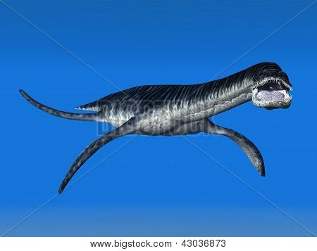 Plesiosaurus