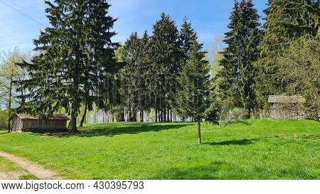 An Old Village Cellar On A Hill Among Fir Trees