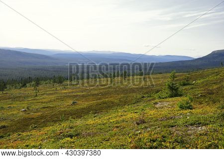 Mountain Landscape In Summer, Idre - Dalarna