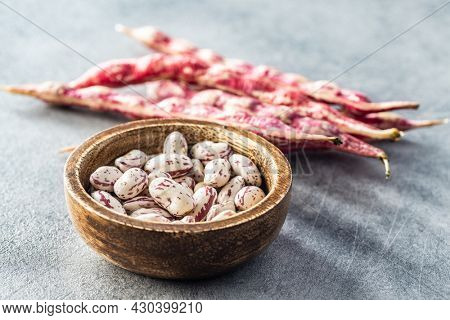 Cranberry beans. Borlotti beans in bowl. Beans pods.