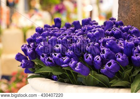Purple Tulips In A Flower Shop Pot