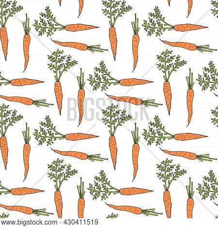 Seamless Pattern With Yammy Carrot On White Background. Vector Image.