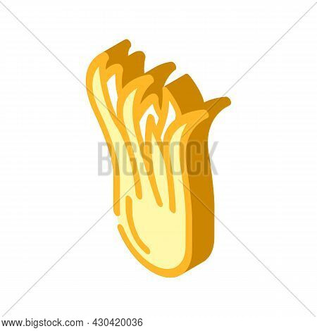 Citron Fruit Isometric Icon Vector. Citron Fruit Sign. Isolated Symbol Illustration