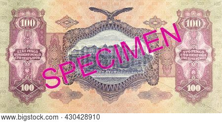 Single Historic 100 Hungarian Pengo Banknote (1930) Reverse Specimen