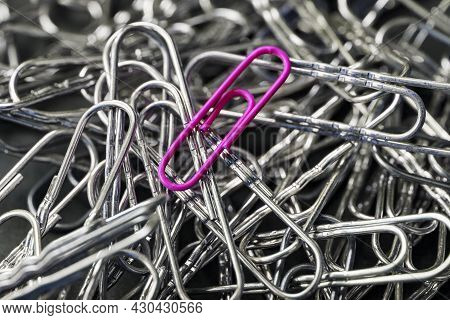 A Pink Paper Clip Stands Out Against A Textured Background Of Silver Paper Clips
