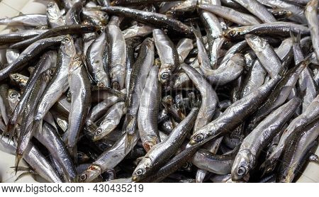 The Black Sea Anchovy Fish Belongs To The Family Engraulidae. A Bunch Of Small Fish For Sale.