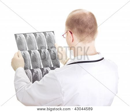 Medical Doctor With Radiograph