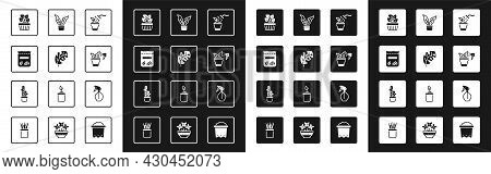 Set Spraying Plant, Tropical Leaves, Pack Full Of Seeds Of, Indoor Ivy Pot, Plant, Water Spray Bottl