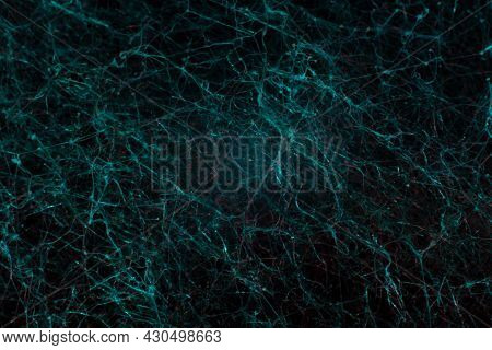Turquoise Abstract Background Texture. A Closeup Of Mold, Crystals And Mold Filaments. Neurointerfac