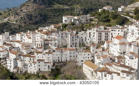 Casares