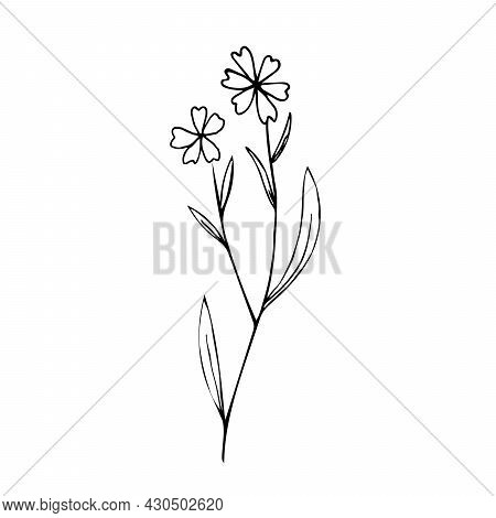 Botanical Linear Leaf Set. Abstract Minimalist Leaves Collection, Creative Herbal Art. Hand Drawn We