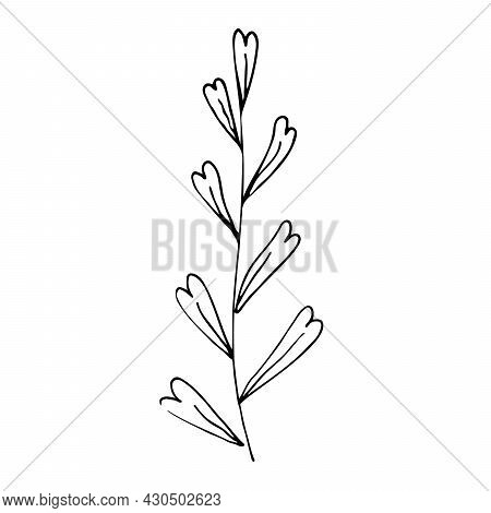 Botanical Linear Leaf Set. Abstract Minimalist Leaves Collection, Creative Herbal Art. Hand Drawn We