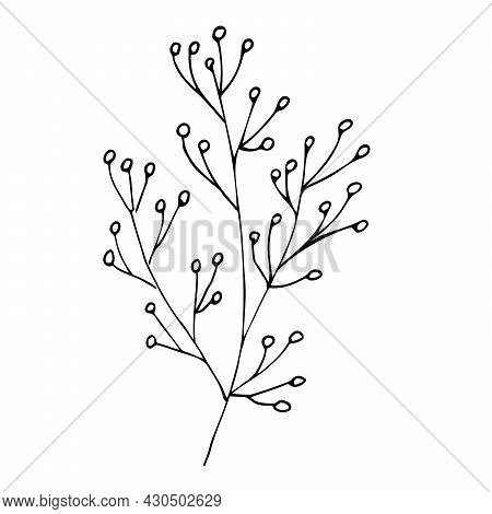Botanical Linear Leaf Set. Abstract Minimalist Leaves Collection, Creative Herbal Art. Hand Drawn We