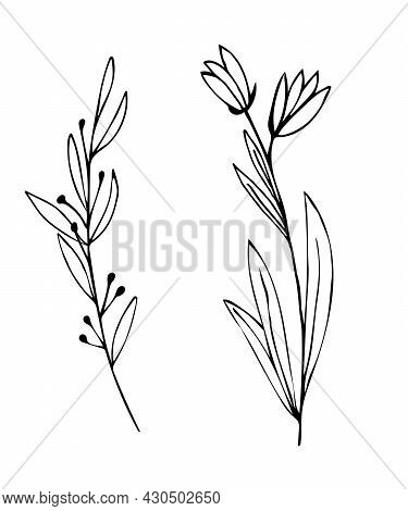 Botanical Linear Leaf Set. Abstract Minimalist Leaves Collection, Creative Herbal Art. Hand Drawn We