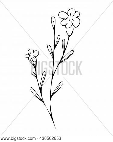 Botanical Linear Leaf Set. Abstract Minimalist Leaves Collection, Creative Herbal Art. Hand Drawn We