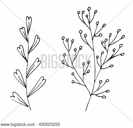 Botanical Linear Leaf Set. Abstract Minimalist Leaves Collection, Creative Herbal Art. Hand Drawn We
