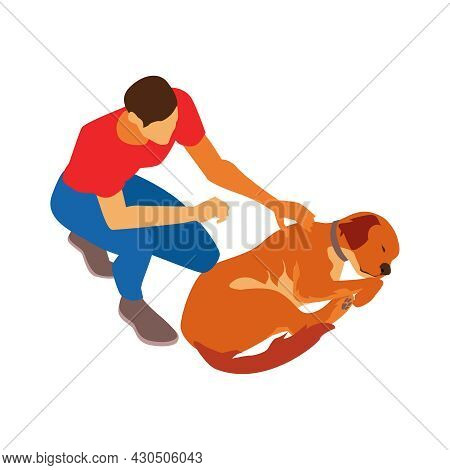 Isometric Dog Sitter Walker Service Composition With Male Character Touching Sleeping Dog Vector Ill