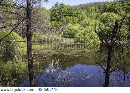Sua Gabra Lakes At Lozenska Mountain, Bulgaria