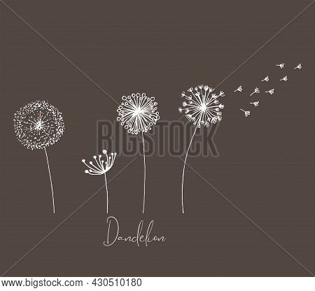 Hand Drawn Set Of White Dandelion, Dandelion With Flying Seeds In Cute Doodle Style. Vector Illustra