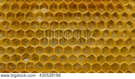 Hexagonal Textured Honeycomb Background Close-up. Black Broun Yellow Background. Agricultural Concep
