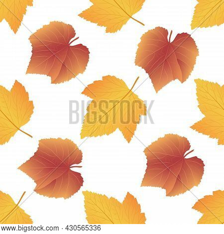 Vector Graphic Seamless Pattern With Autmn Leaves-02