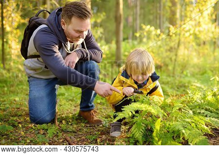 Preschooler Boy And His Father Are Exploring Nature With Magnifying Glass. Little Child Is Looking O