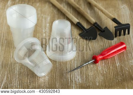 Stack Empty Plastic Glasses Of One Hundred Milliliters For Seedlings And Rooting Cuttings On The Woo