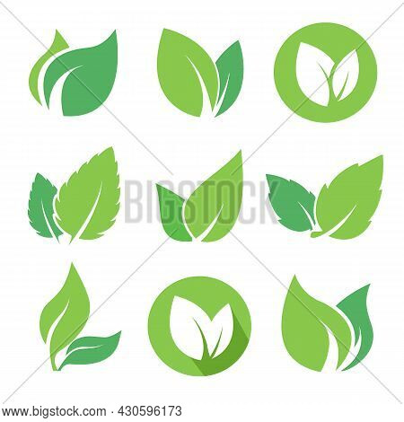 Green Leaves Logo Set For Eco Organic Bio Natural Products, Pharmacy, Medicine. Vector Flat Icons Co