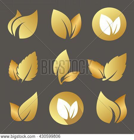 Gold Leaves Set Isolated On Dark Background. Design Elements For Organic Bio Logo, Natural And Eco P