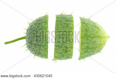 Ecballium Isolated On White Background. Ecballium Elaterium Or Wild Cucumber Pods. Top View.