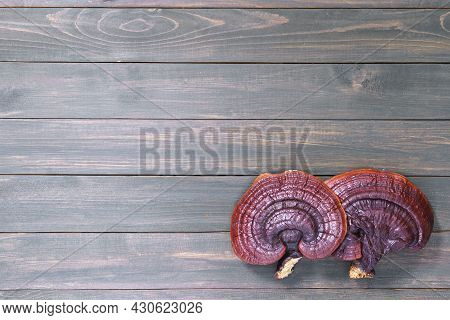 Ganoderma Lucidum Mushroom On Wooden Floor