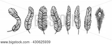 Feathers In Ethnic Style. Set Of Indian Bird Feathers With Peackock One Isolated In White Background