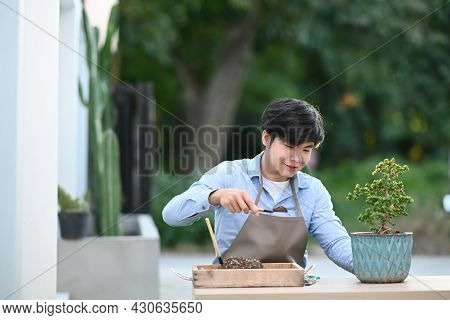 A Youngman Planting A Bonsai Tree Into Pot At Home.