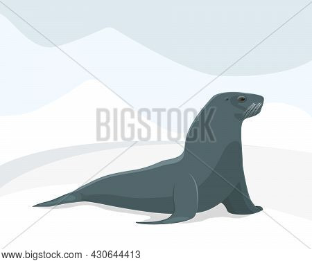 Funny Seal In The North, Sea Cat, Walrus. Wildlife, North Pole. Flat Design.