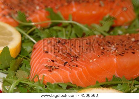 Laks Filet på en plade med nogle grøn Salat