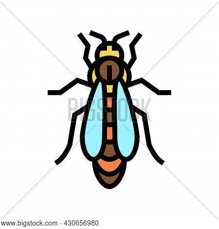 Bee Queen Beekeeping Color Icon Vector. Bee Queen Beekeeping Sign. Isolated Symbol Illustration