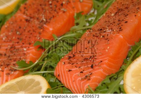 Laks Filet på en plade med nogle grøn Salat