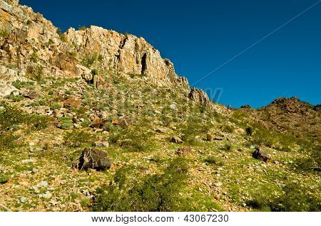 Piestewa / Squaw Peak