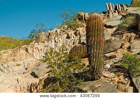 Piestewa / Squaw Peak