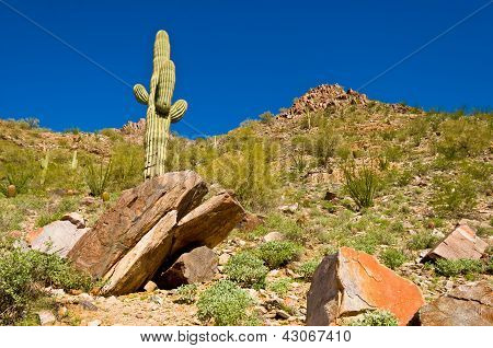 Piestewa / Squaw Peak