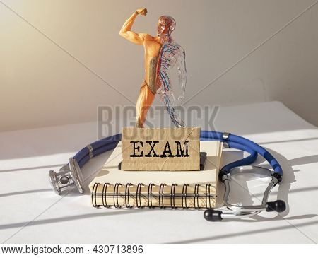 Medical Exam Concept. Inscription On Paper. Inner Organs Examination.