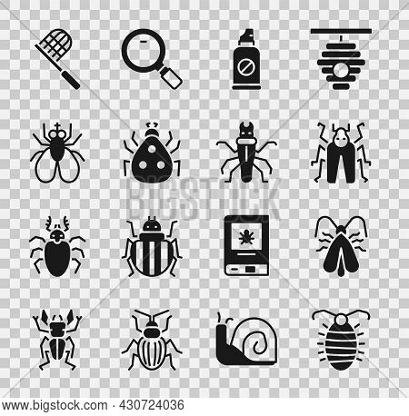 Set Larva Insect, Clothes Moth, Beetle Bug, Spray Against Insects, Ladybug, Insect Fly, Butterfly Ne